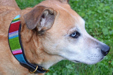 Load image into Gallery viewer, "Bijou" Beaded Dog Collar