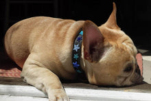 Load image into Gallery viewer, "Indigo Stars" Beaded Dog Collar