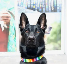Load image into Gallery viewer, TKC Rainbow Beaded Dog Collar
