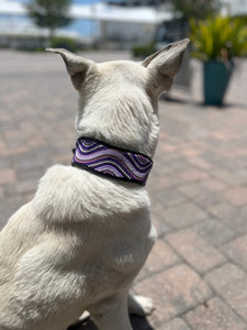 The Purple Wave Beaded Dog Collar