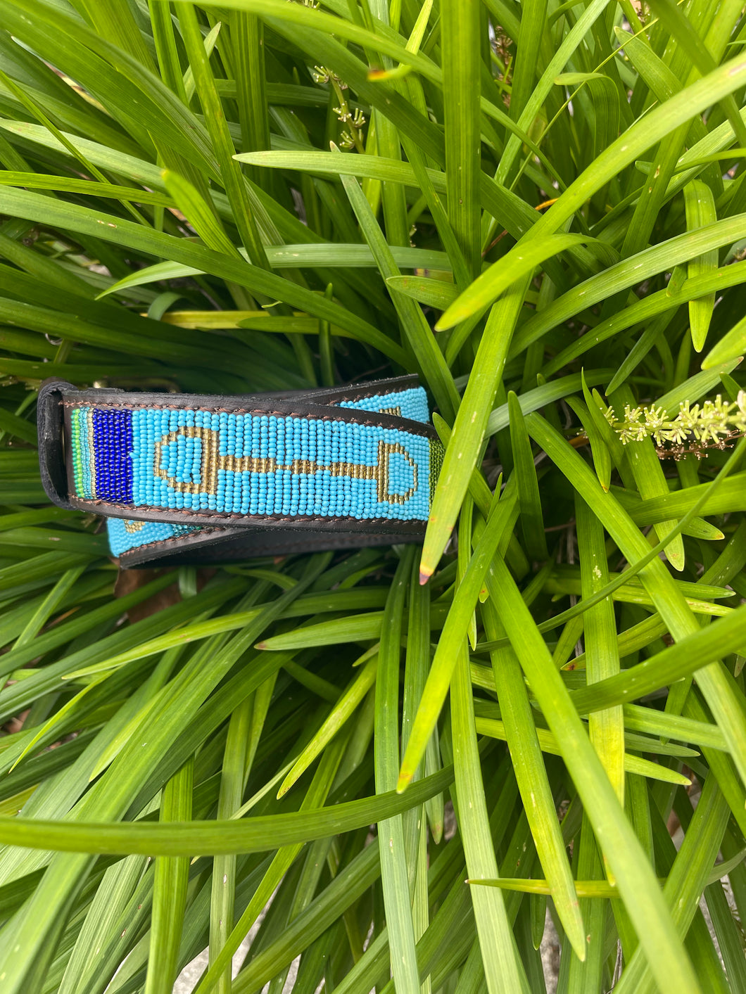 TKC Peacock Bits Belt - Wide Width Brass Buckle