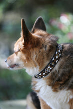 Load image into Gallery viewer, Earth Argyle Beaded Dog Collar