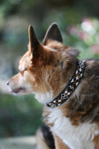 Earth Argyle Beaded Dog Collar