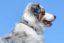 Load image into Gallery viewer, &quot;Zebra&quot; Beaded Dog Collar