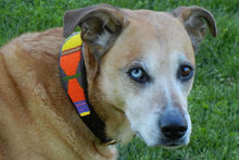 Load image into Gallery viewer, &quot;Hippo Circus&quot; Beaded Dog Collar