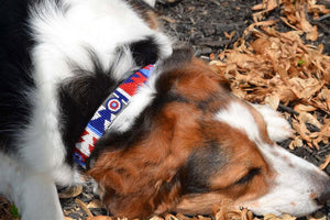 "Red White Blue" Beaded Dog Collar