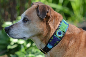 "Peacock" Beaded Dog Collar